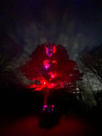 Marshin Whips: RGB Lunar Laser Light Kit - view 5