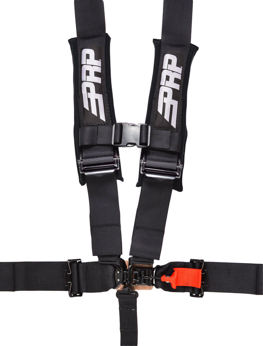 5.3 Harness - PRP SFI 16.1