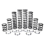Kawasaki Krx 4 1000 Stage 1 Spring Kit (2023) image 0