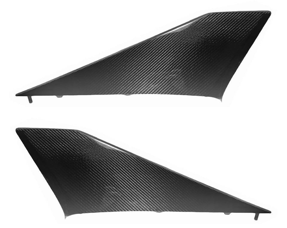 Can-Am Maverick R Carbon Fiber Number Plate / Cage Trim image 1