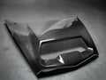 Kawasaki Teryx H2 Carbon Fiber Hood by Fourwerx