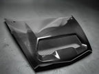 Kawasaki Teryx H2 Carbon Fiber Hood