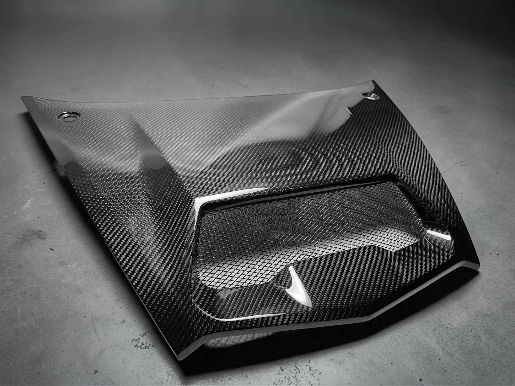 Kawasaki Teryx H2 Carbon Fiber Hood