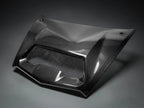 Kawasaki Teryx H2 Carbon Fiber Hood
