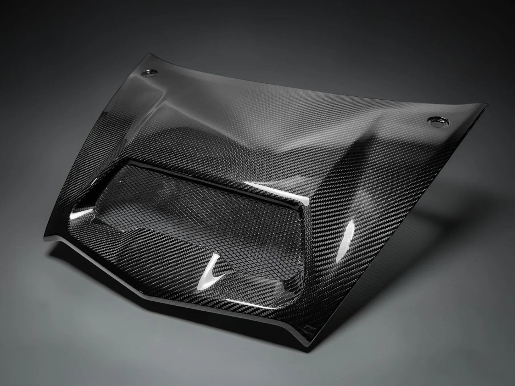 Kawasaki Teryx H2 Carbon Fiber Hood