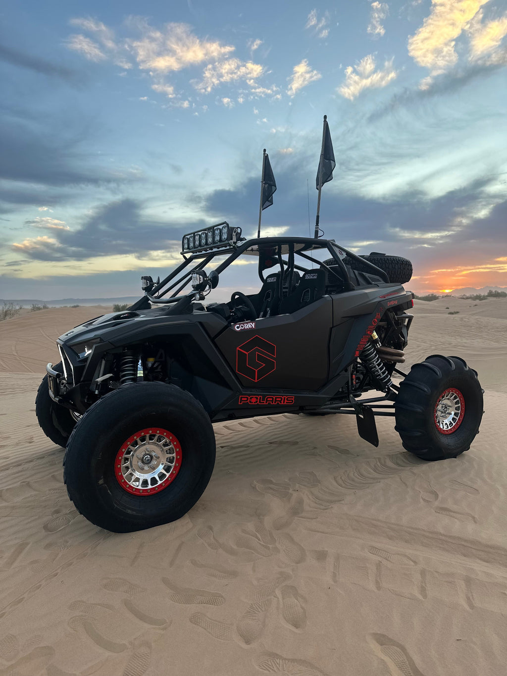 POLARIS PRO R 2 SEAT CAGE