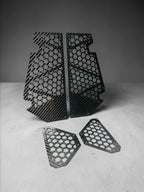 Polaris Xpedition Carbon Fiber Side Air Vent Set