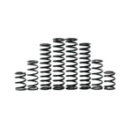 Can-Am Maverick R X RS 2ST Stage 1 Spring Kit (2024) image 0